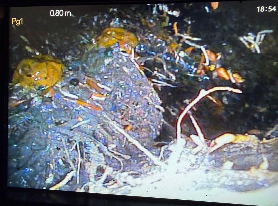 Écran de la caméra d’inspection montrant un amas de lingettes et de déchets à 0,80 m dans la canalisation